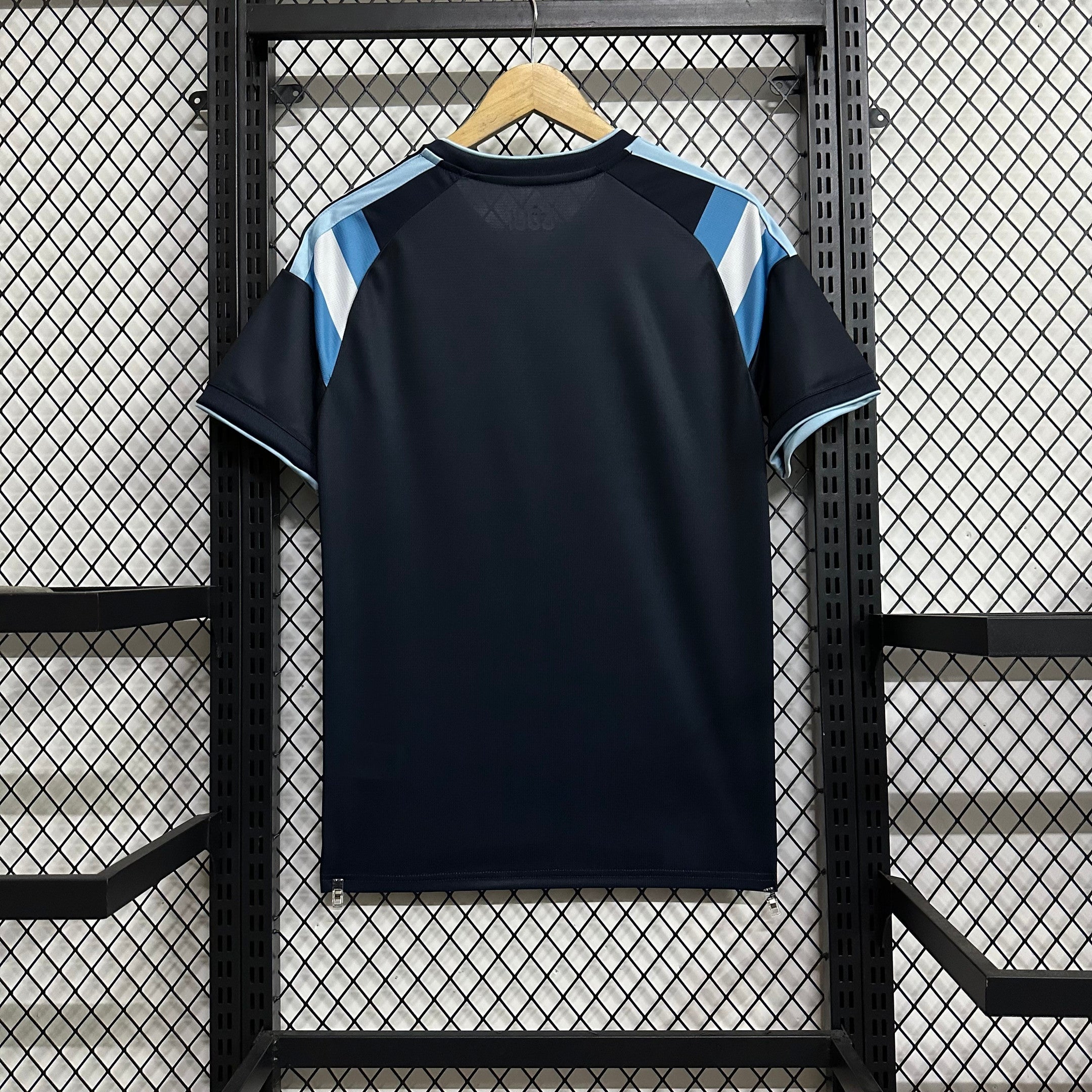 Argentina National Team 2026 Design Royal Blue Jersey - Men