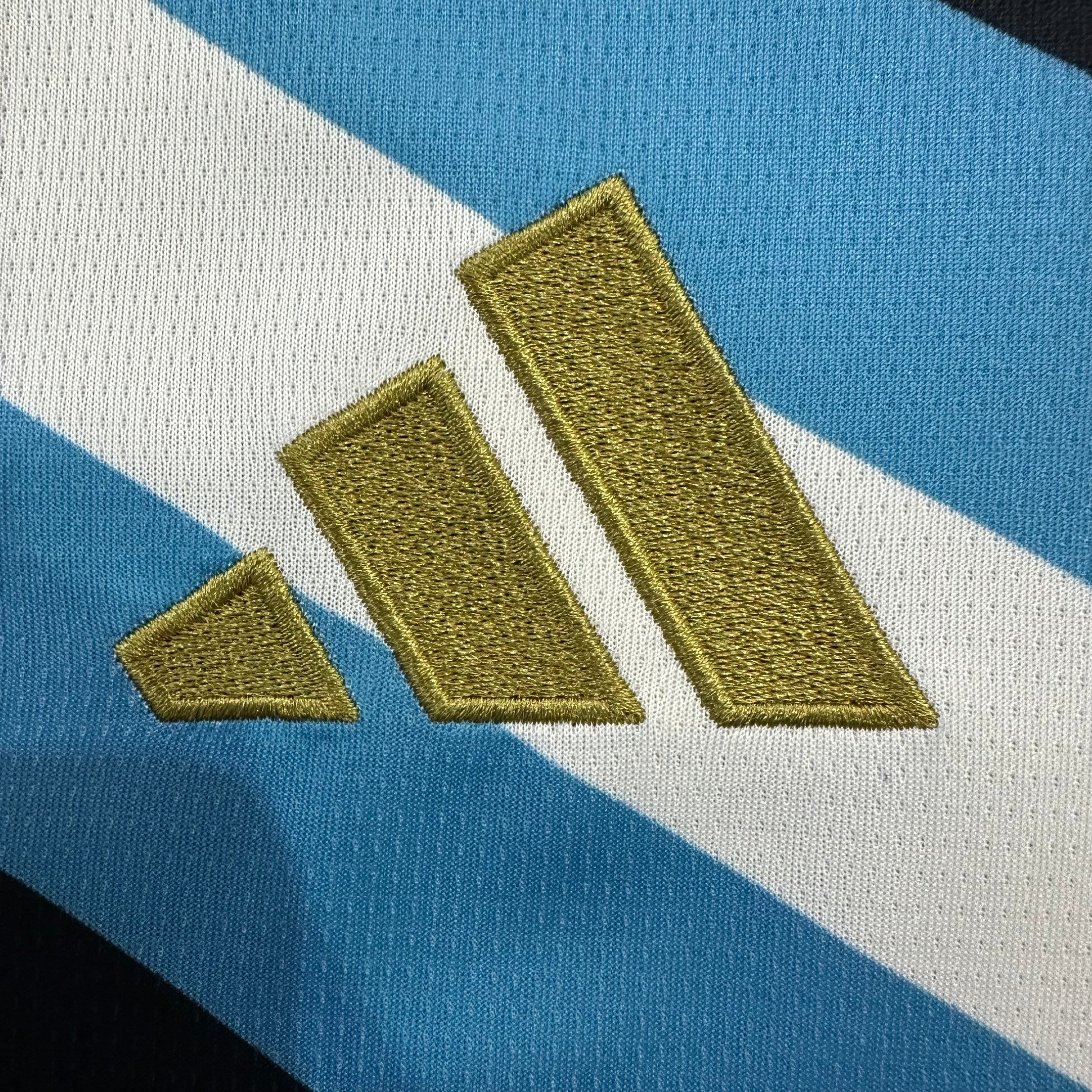 Argentina National Team 2026 Design Royal Blue Jersey - Men