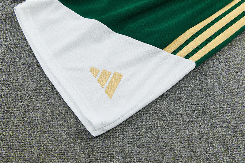Italy National Team 2026/27 Training Shorts Set – World Cup 2026, Green