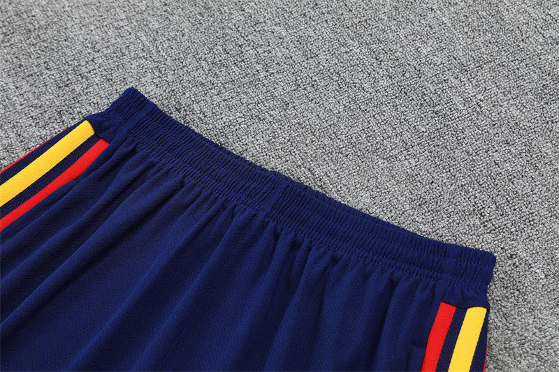 Spain National Team 2026 World Cup Training Shorts Set – Blue