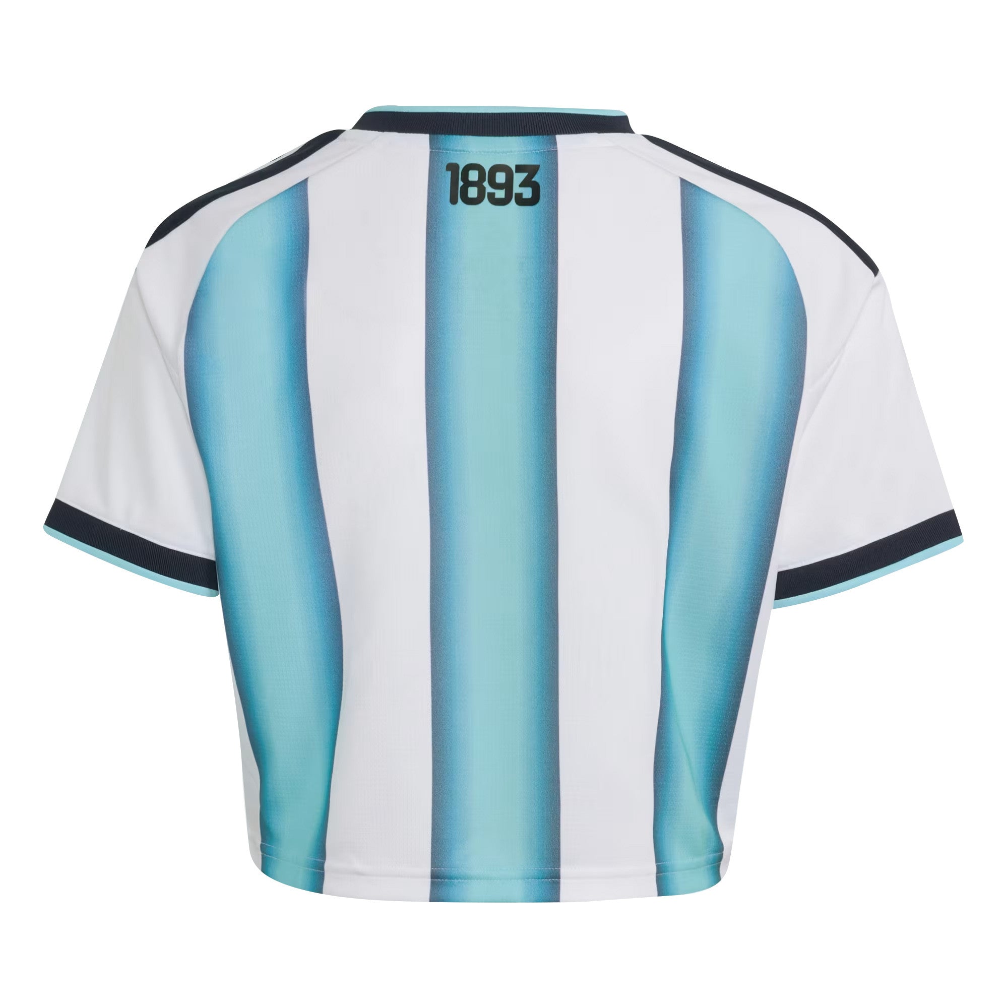 Argentina 2026 Home Women's Cropped Jersey - White